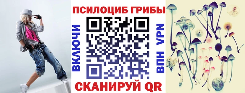 Псилоцибиновые грибы мухоморы как найти Тверь