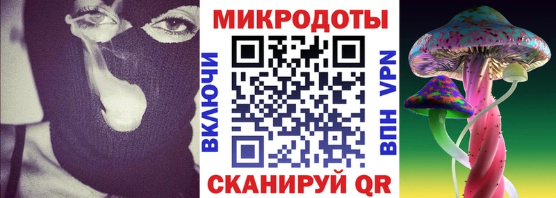 Псилоцибиновые грибы Psilocybe Тверь