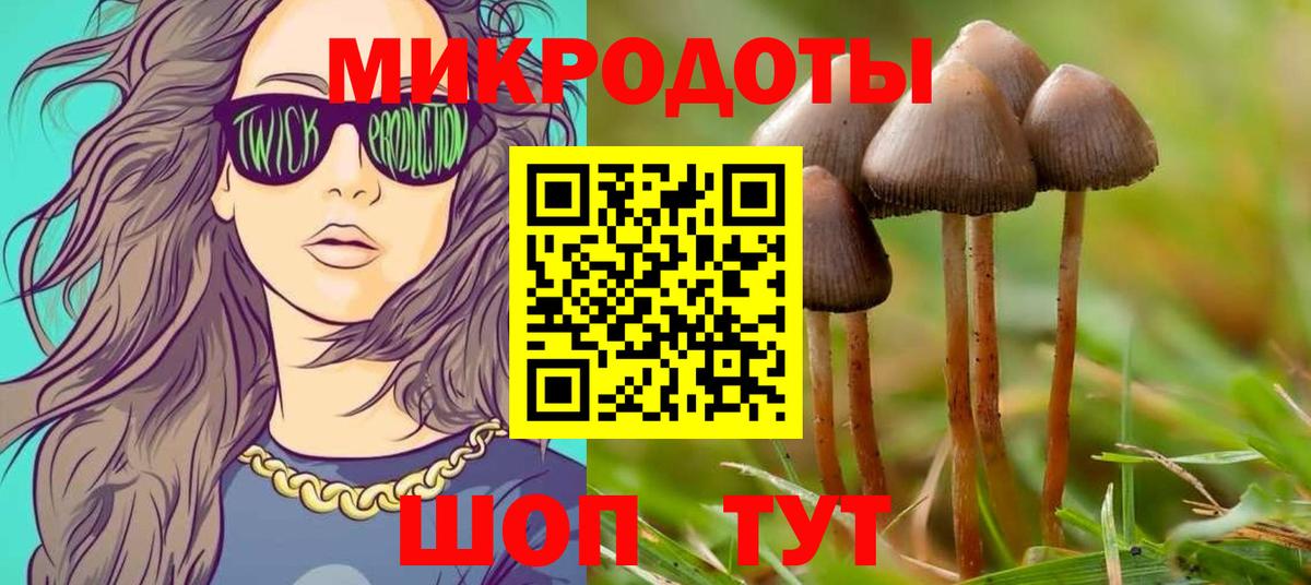Тверь  где купить наркоту  Вход с VPN  Псилоцибиновые грибы Psilocybine cubensis 